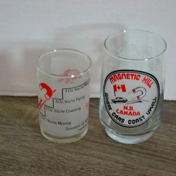 Vtg Magnetic Hill Souvenir  Glasses - Picture 2 of 8